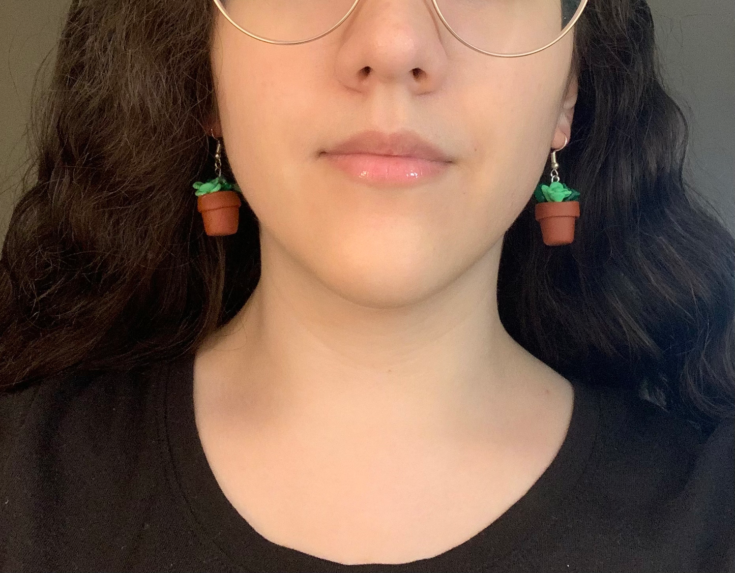 Potted Plant Succulent Earrings